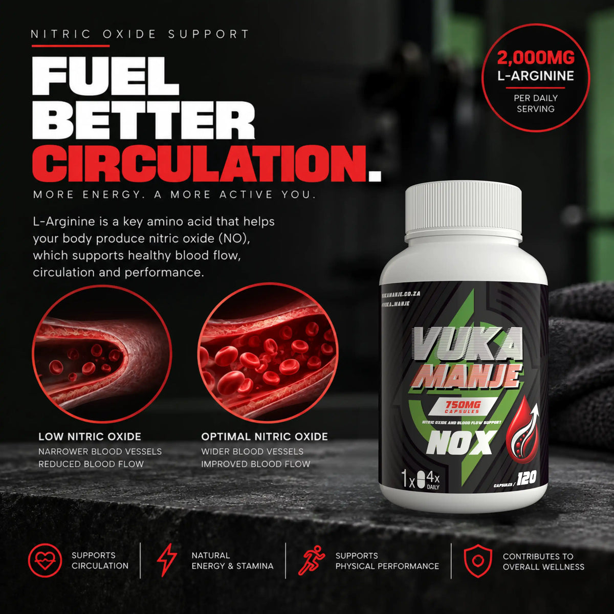 NOX (Nitric Oxide & Blood Flow Support)